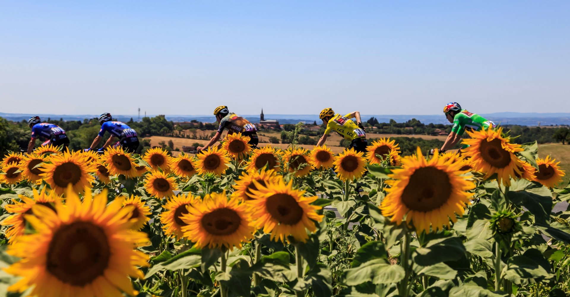 Cycling near Sunflower Field